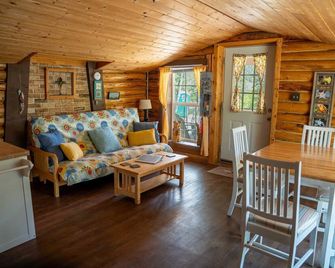 The Sleeping Ute - Beautiful View of the Lake and Surrounding Mountains - Lake City - Living room