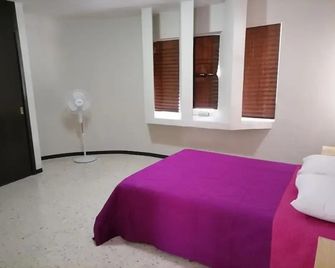 Amplio Departamento, Seguridad, Ubicación Pb - Santiago de Querétaro