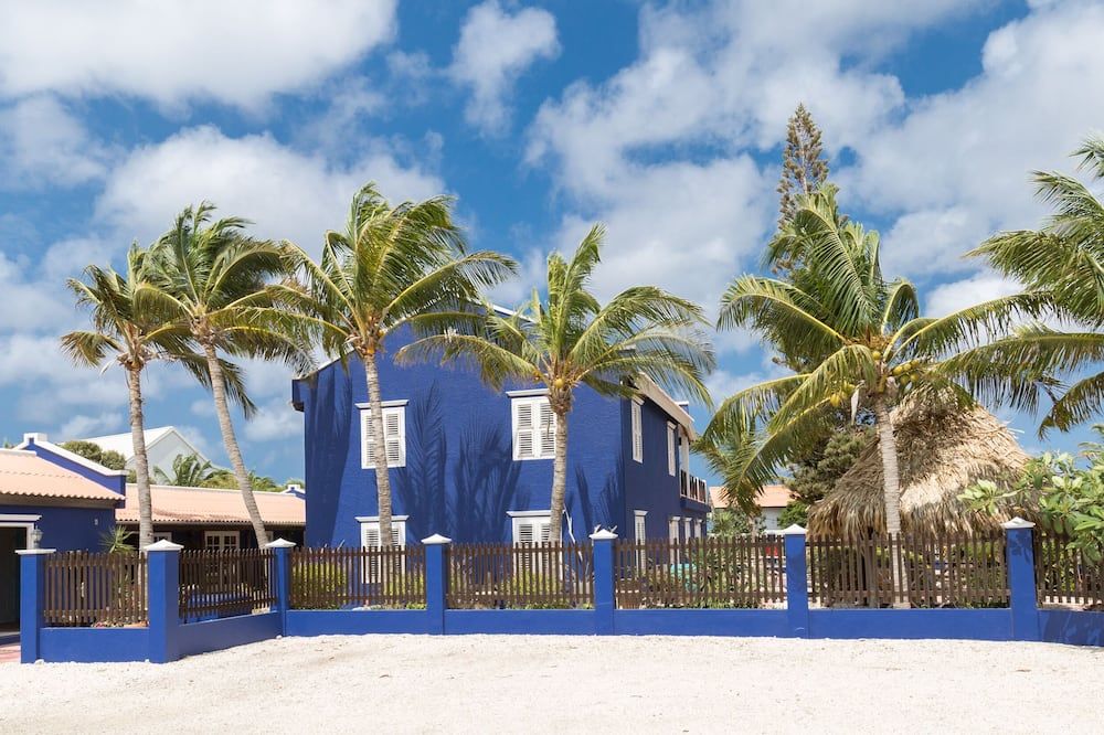 Blachi Koko Apartments - Kralendijk