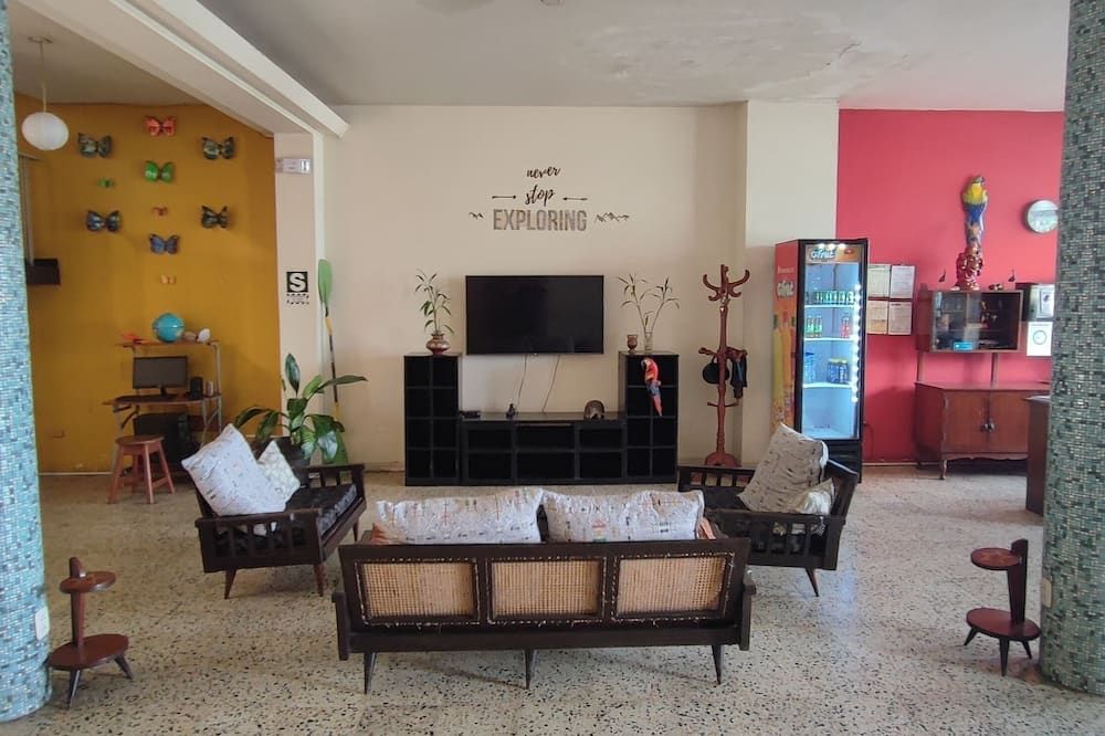 Flying Dog Hostel Iquitos - Iquitos