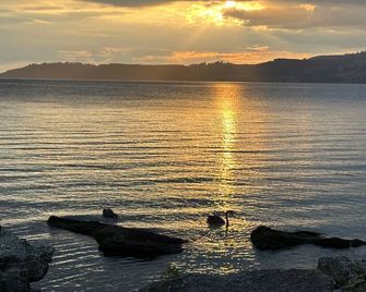 Baycourt Lakefront Motel - Taupo - Beach
