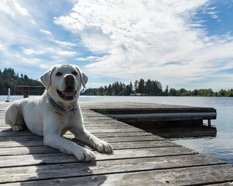 Inn on Long Lake - Nanaimo