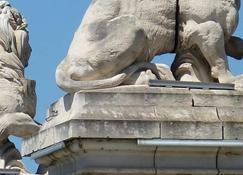 Entre théâtre et Rhône, 87 m2 terrasse clim wifi Arles Camargue - Arles