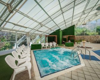 Rimonim Hermon Holiday Village - Neve Ativ - Piscina