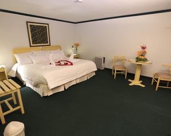Plaza Mayor Hotel - Puno - Bedroom