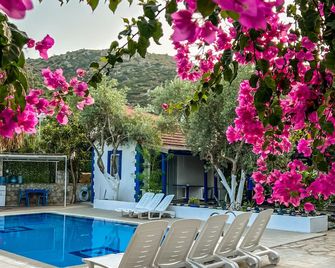 Pineloft Selimiye - Mugla - Pool