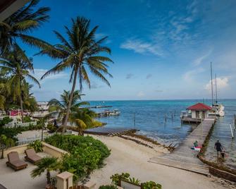 The Palms Oceanfront Suites - San Pedro Town - Beach