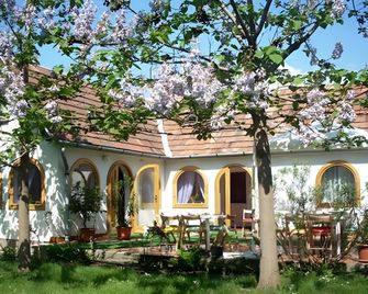 Babi Guesthouse - Balatonfüred - Terasa