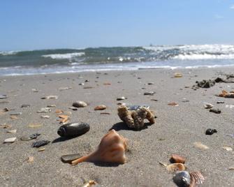 Tranquil Tides Retreat in Frisco, Outer Banks, North Carolina! - Frisco - Strand