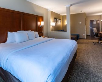 Comfort Suites Denver near Anschutz Medical Campus - אורורה - חדר שינה