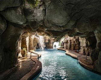 Hyatt Regency Grand Cypress Resort - Orlando - Piscina