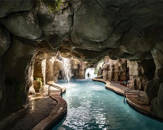 حياة ريجنسي غراند سايبرس - أورلاندو - حوض السباحة