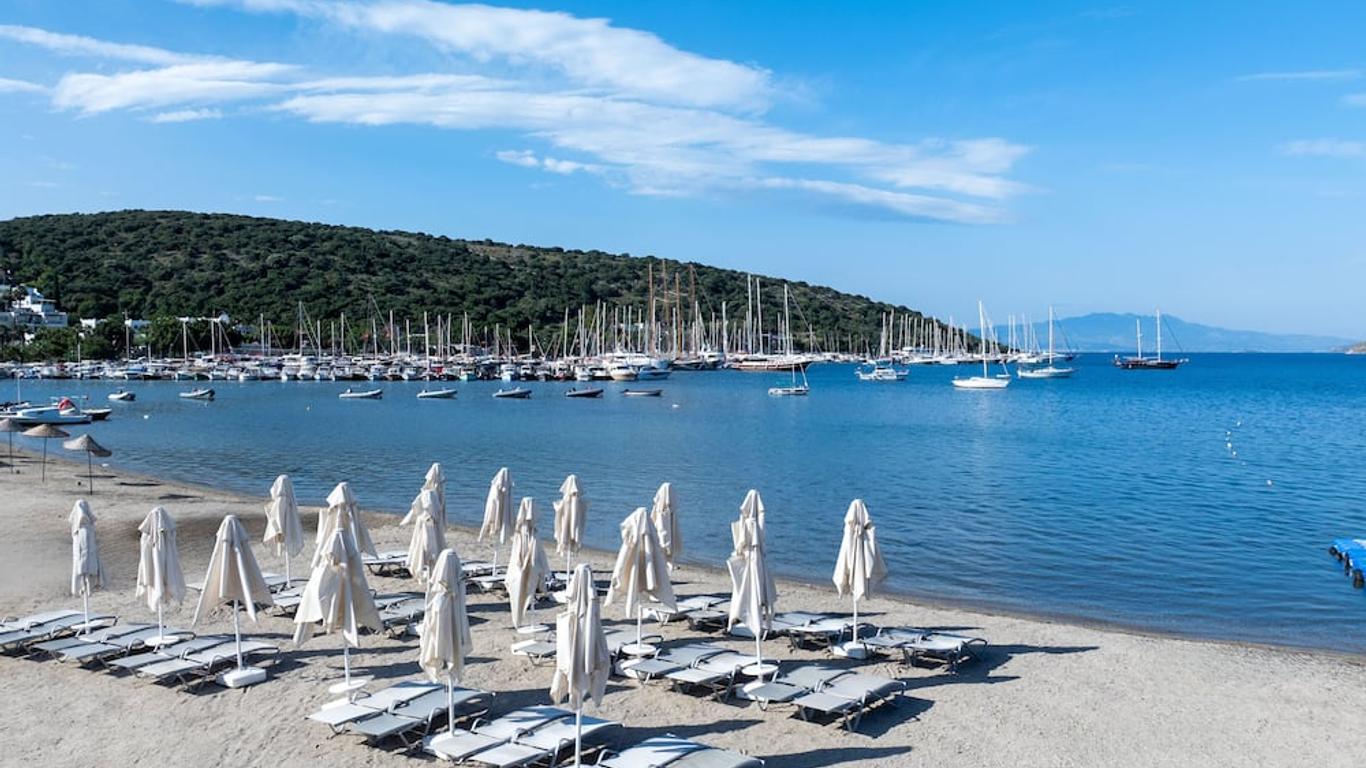 بالوما فاميلي كلوب