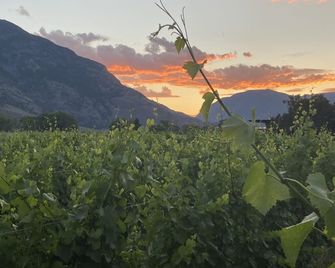 Crowsnest Vineyards Guesthouse - Cawston - Vista del exterior