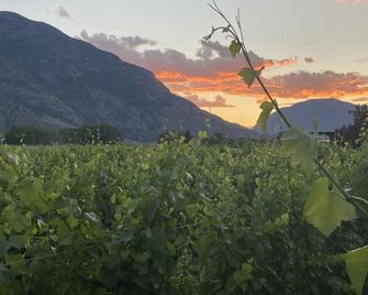 Crowsnest Vineyards Guesthouse - Cawston - Vista del exterior