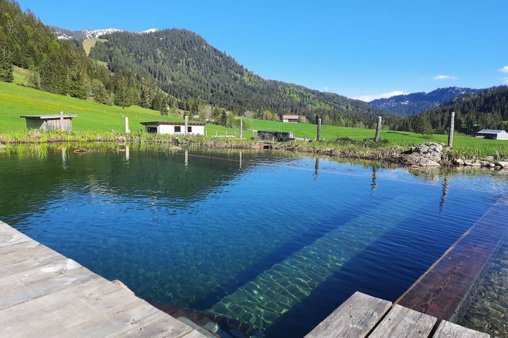 Almhof Lässer - Balderschwang