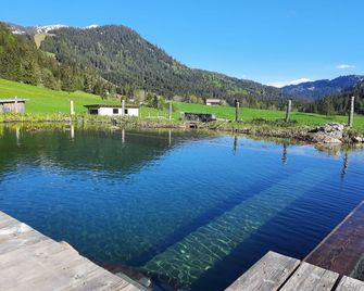 Almhof Lässer - Balderschwang