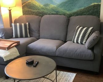 The Longview Cabin: An inviting cabin, next to Pisgah National Forest. - Pisgah Forest - Living room