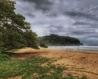 Hotel Caribbean View - Bocas del Toro - Beach
