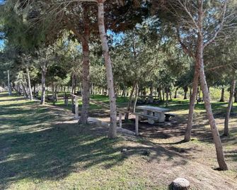 Home S&F- Algorfa - Algorfa