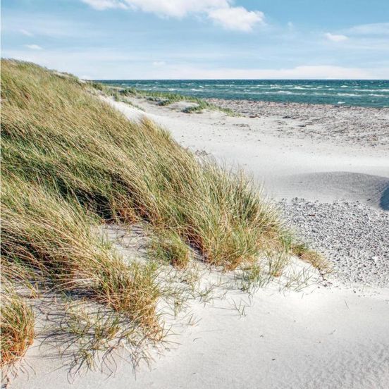 Cozy Home In Ebeltoft With Sauna – Ebeltoft