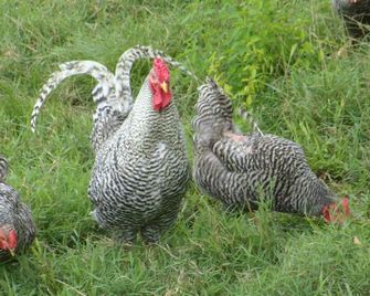 Guest House on Beautiful Cane Creek -- State Parks and Tennessee River Nearby - Centerville