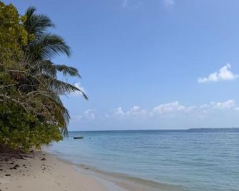 Kashiveli Omadhoo - Omadhoo - Beach