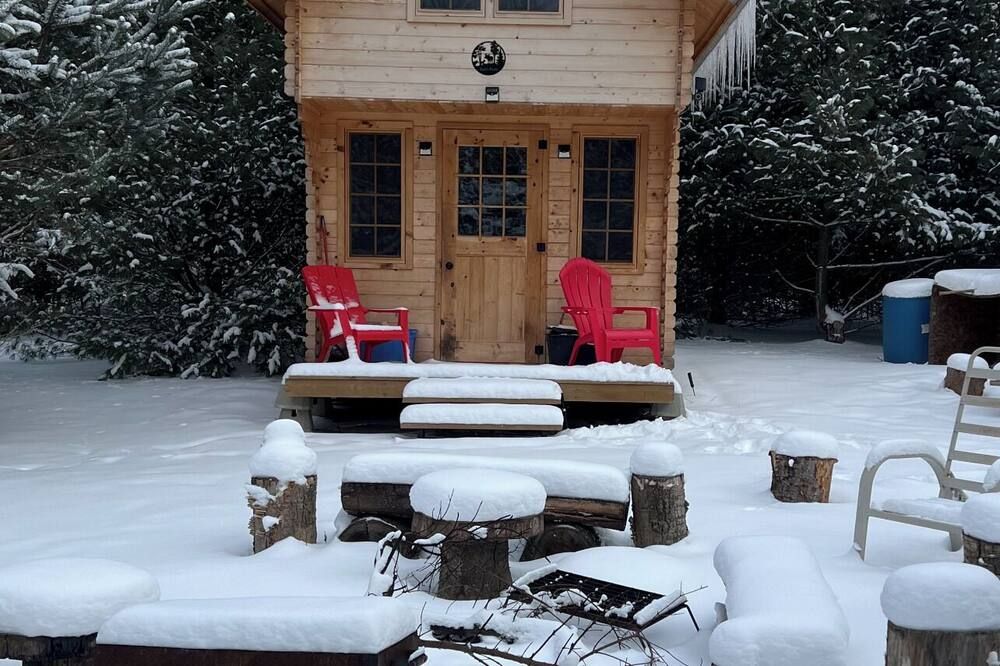 Nature Retreat | Cabin on 40 Acres, 15 Mins from Beaches - Simcoe - Patio