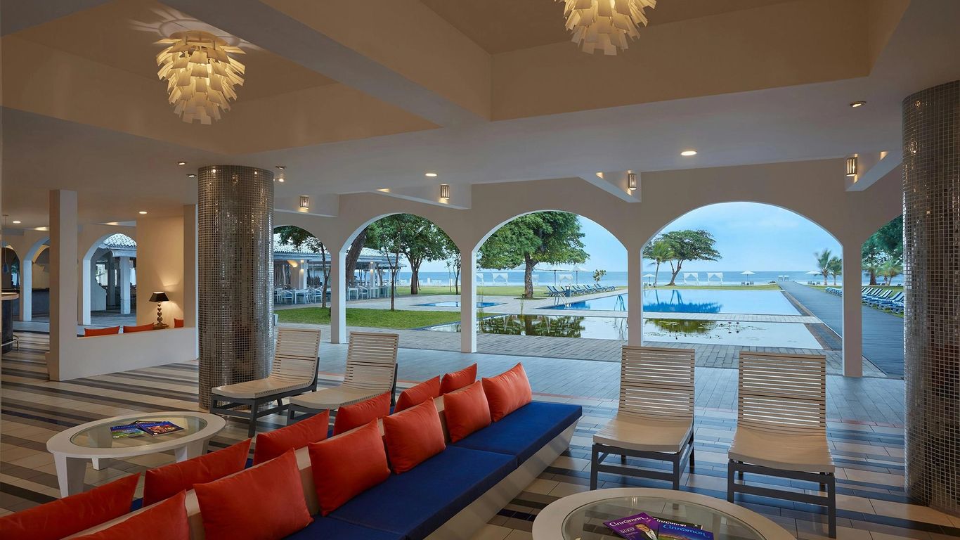 ترينكو بلو باي سينامون