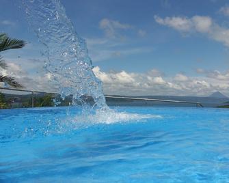 On A Private Hillside Overlooking Pristine Lake Arenal - Tilarán - Piscina
