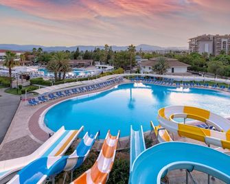 Euphoria Palm Beach Resort - Side - Pool