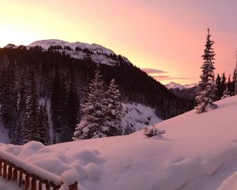 Addie S Cabin Red Mountain Pass - Silverton - Outdoors view