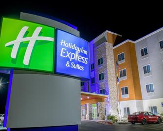Holiday Inn Express & Suites Raymondville - Raymondville - Building