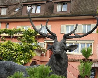 Landhotel Hirschen - Trüllikon