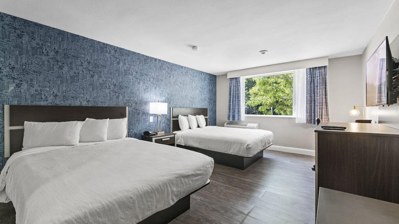 ذي إن أون آرسينال