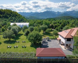 Pensiunea Negoiu - Porumbacu de Sus - Outdoors view