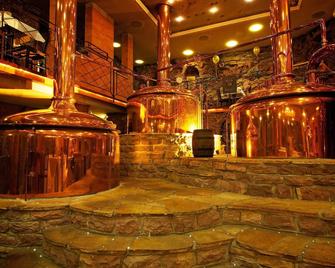 Allvitalis Traumhotel - Karlsruhe - Bar