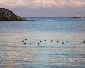 537 - Studio les pieds dans l'eau, en bordure de la plage du centre d'Erquy - Erquy