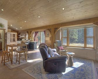 Pine Meadow Cabin 160 Sierra Circle - Durango - Living room