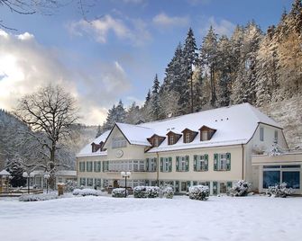 Waldhotel Bad Sulzburg - Sulzburg - Building