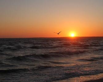 Fantastically Located Chatham House - Discounted - New Patio, Refurbished - Chatham - Beach