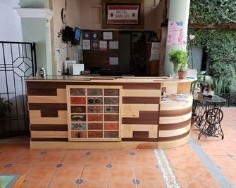 Hotel San Luis - San Cristóbal de las Casas - Recepción