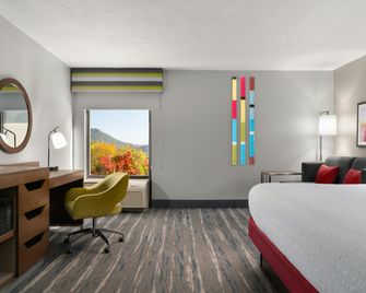 Hampton Inn Roanoke/Hollins-I-81 - Roanoke - Habitación
