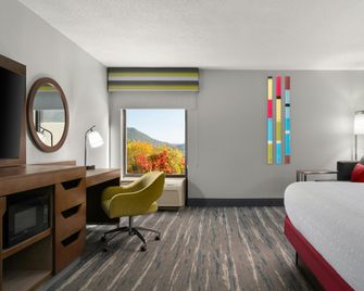 Hampton Inn Roanoke/Hollins-I-81 - Roanoke - Makuuhuone
