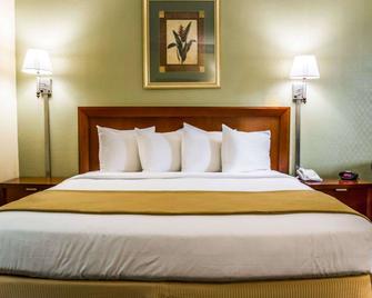 Quality Inn Airport - Cruise Port - Tampa - Schlafzimmer