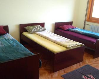 Migex apt 1 bed dorm 10 eur po gostu- pet frendly - Niš - Slaapkamer