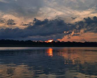 Lodging and tours queen arriera Amazonas Colombia - Puerto Nariño
