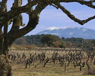 Mas du Vieux Tilleul - Vaison-la-Romaine - Extérieur