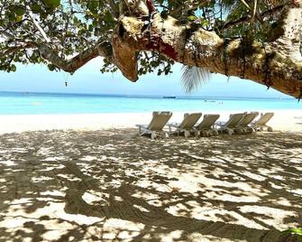 Sweet like Sugar Cane - Saint Ann’s Bay - Beach