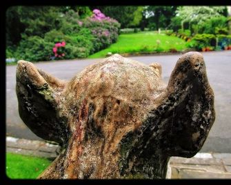 Hedgefield House Hotel - Newcastle upon Tyne - Bygning